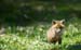 fox-050307-11